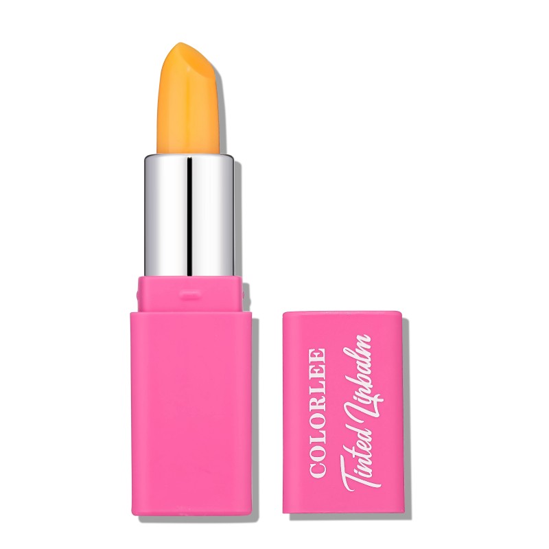 Lip Protectant Stick